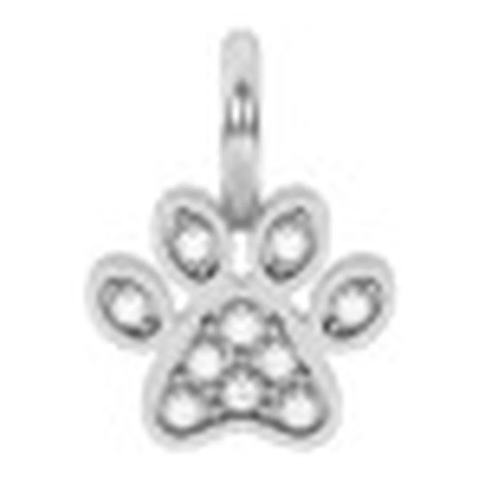 Charm Kidult Symbols pet zampina 09mm
